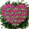 أم عبد الرحمن 的头像