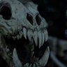 KronoWulf's profile picture