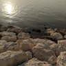 حسين KH profil fotoğrafı