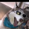 Jessica's profile picture