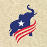 Travis County GOP profil fotoğrafı