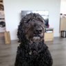 BM's profile picture