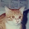 茶助's profile picture