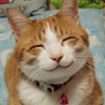 Profilbild von Catsduke☆猫公爵@消費税廃止・年金倍増