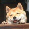 Profilbild von iemaliy
