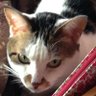 Profilbild von cazy55bm