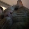 Wuzizname's profile picture