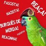 Фото профиля 🔴Esquerda Hipócrita🔴