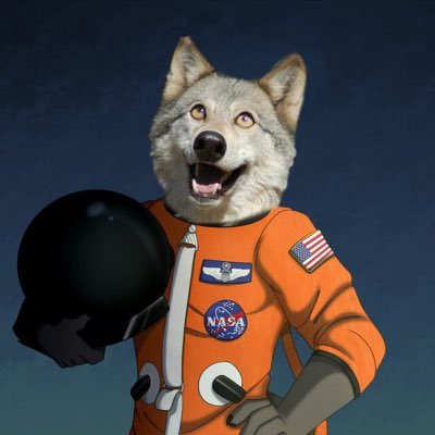 Dakota The Astrowolf's profile picture