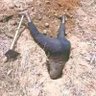 Wandigere's profile picture