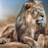 Luis Lopez profil fotoğrafı