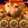 へむい's profile picture