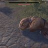BeefcakeTheGreat profil fotoğrafı