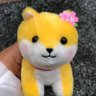 ひよこビタミン's profile picture