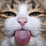 Profilbild von 글링