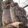 Profilbild von 釧路市動物園