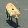 jackie's profile picture