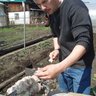 Profilbild von Марат Накипычев
