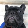 WinstonCarmichaelTheIV 的头像