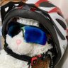 みけとぶる's profile picture