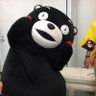 Фото профиля とらとらこ（にほんとらうそ）ÒㅅÓ。)ﾉ