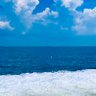 海島 profil fotoğrafı