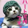 進藤剛🧠ྀི's profile picture