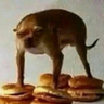 DangoIsHere's profile picture