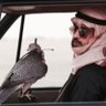 التميمي profil fotoğrafı