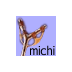 Фото профиля michi