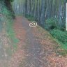 まこと 的头像