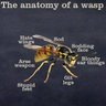 Фото профиля BrianWarsteiner