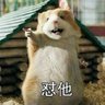 Mr.Grollia 的头像
