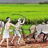 surysani 的头像