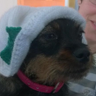 Just A Guy With His Own Opinion's profile picture