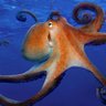 Фото профиля Ricca David
