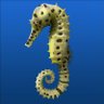 farra521's profile picture