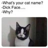 Scott profil fotoğrafı
