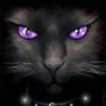 Profilbild von Yulia