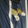 Krumblinherb's profile picture