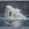 Watercolours 13 profil fotoğrafı