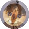 Profilbild von 新野