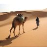 عابر سبيل's profile picture