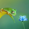 Jackson's profile picture