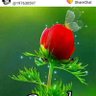 Siva Kumar profil fotoğrafı