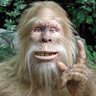 ICURUOK's profile picture