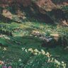 Фото профиля سندس عبدالله