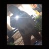PatriciaClemones 的头像