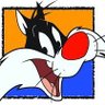 Crusader Cat profil fotoğrafı