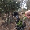 David profil fotoğrafı